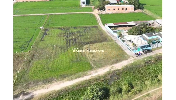 CẦN BÁN GẤP 5 LÔ ĐẤT NỀN XÃ ĐỨC HÒA, LONG AN – NGAY TRỤC ĐT.823D